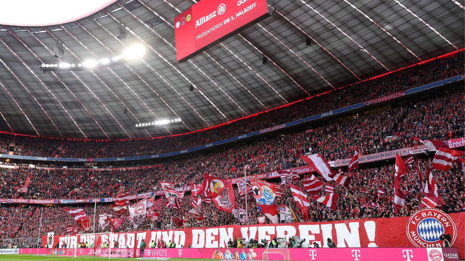 领域的专业 领域的专业