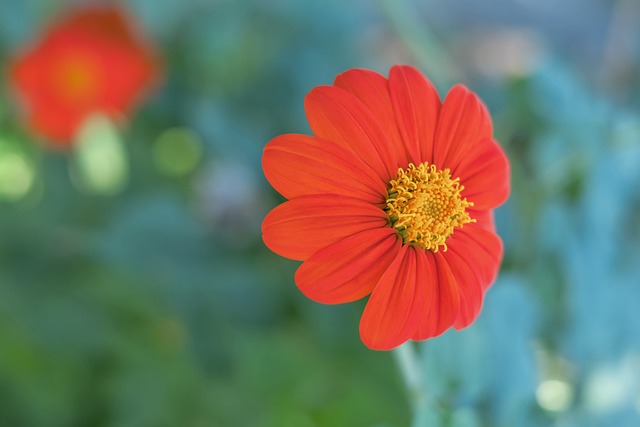 商注入了新 商注入了新