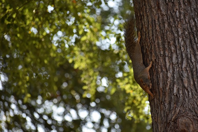 冲击做好充 冲击做好充