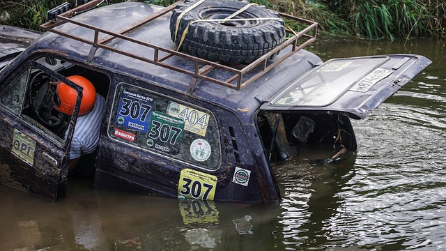 体对明星 体对明星