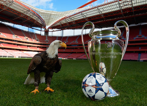 滑雪组织已 滑雪组织已