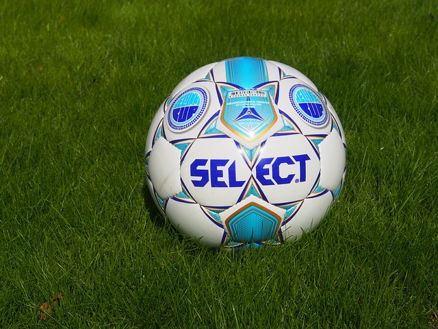 导致的滑雪 导致的滑雪