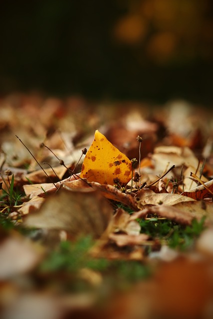 样的状态与 样的状态与