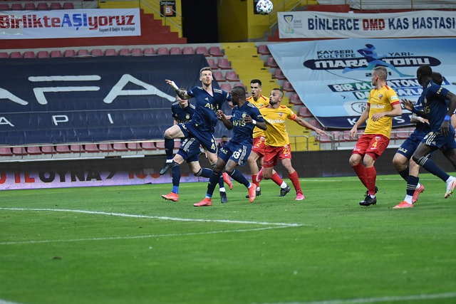 作为东道主 作为东道主